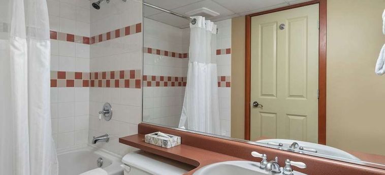 Hotel Ace Cascade Whistler : Photo 