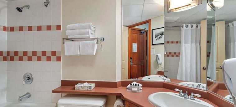 Hotel Ace Cascade Whistler: Foto 