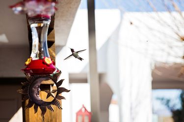 Hotel Los Viajeros Inn Wickenburg (Az): Photo 