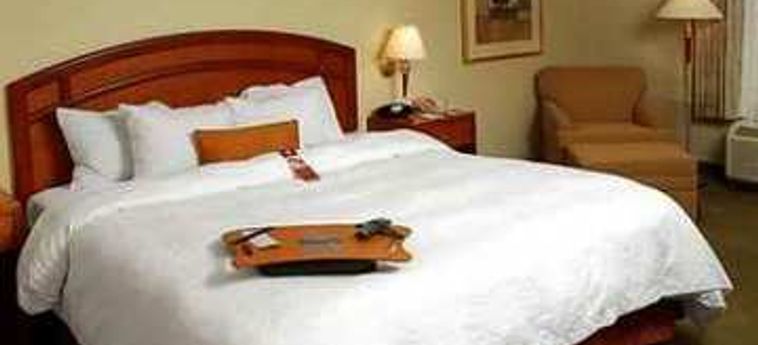 Hotel Hampton Inn And Suites By Hilton Windsor:  WINDSOR - ONTARIO
