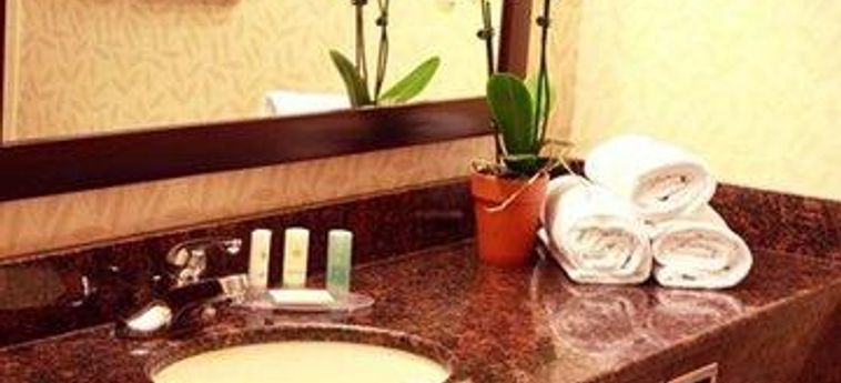 Hotel Comfort Inn &Amp; Suites Ambassador Bridge Windsor - Ontario: Foto 