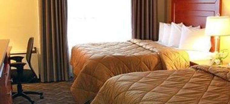 Hotel Comfort Inn &Amp; Suites Ambassador Bridge Windsor - Ontario: Foto 