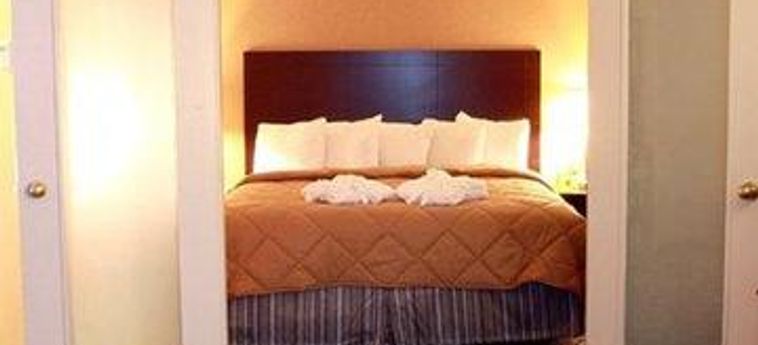 Hotel Comfort Inn &Amp; Suites Ambassador Bridge Windsor - Ontario: Foto 