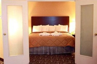 Hotel Comfort Inn & Suites Ambassador Bridge:  WINDSOR - ONTARIO