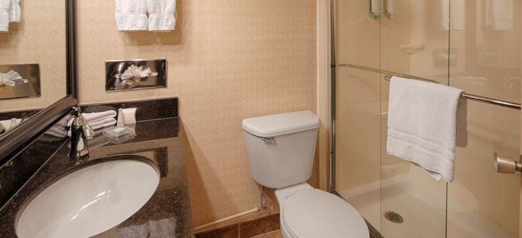 Best Western Charterhouse Downtown Winnipeg: Foto 