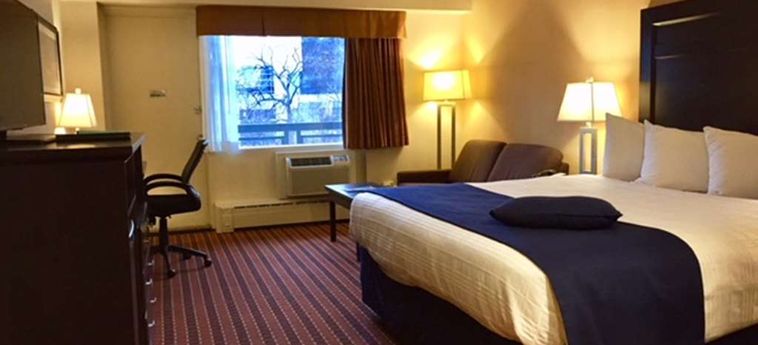 Best Western Charterhouse Downtown Winnipeg: Foto 
