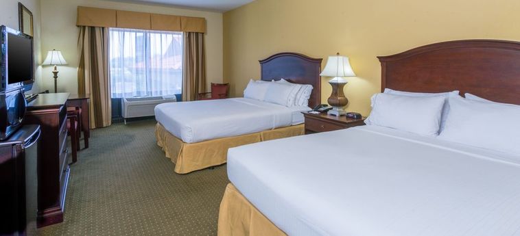 Hotel Holiday Inn Express & Suites Lexington Nw-The Vineyard:  WINSTON SALEM (NC)