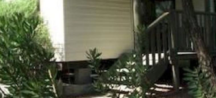Hotel JERVIS BAY CABINS