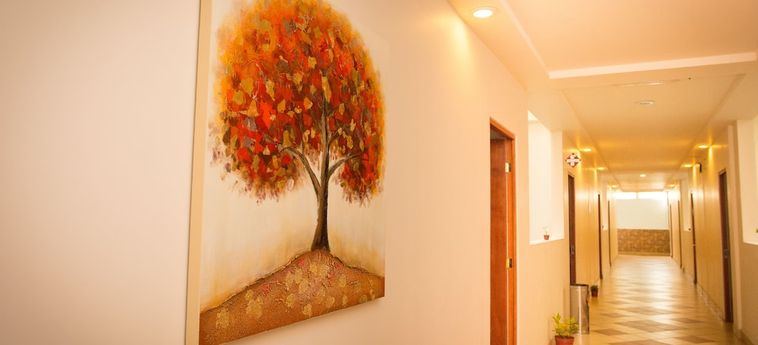 Hotel Marllou Xalapa: Foto 