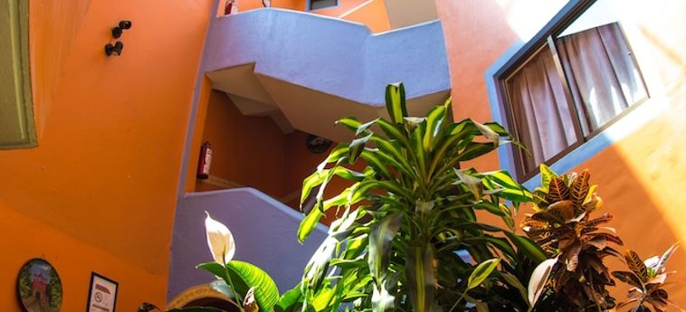 Hotel Posada Casa Regia Xalapa: Foto 