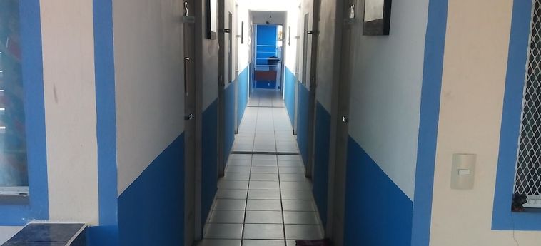 La Pension Casa Azul - Hostel Xalapa: Foto 