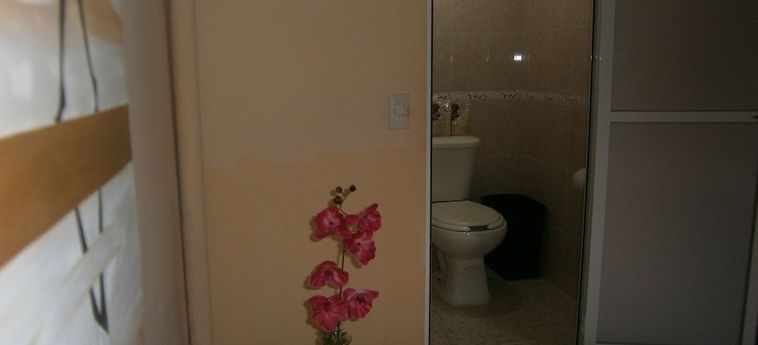 La Pension Casa Azul - Hostel:  XALAPA