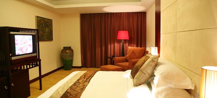 Hotel Meihua Goldentang International:  XIAN