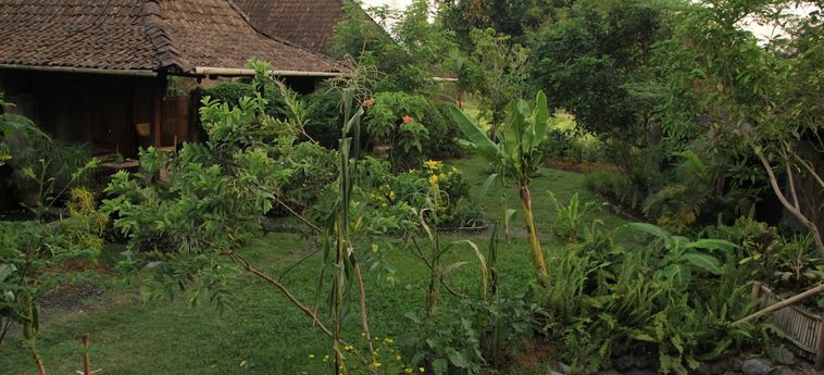 Hotel Yabbiekayu Eco-Bungalows Yogyakarta: Foto 
