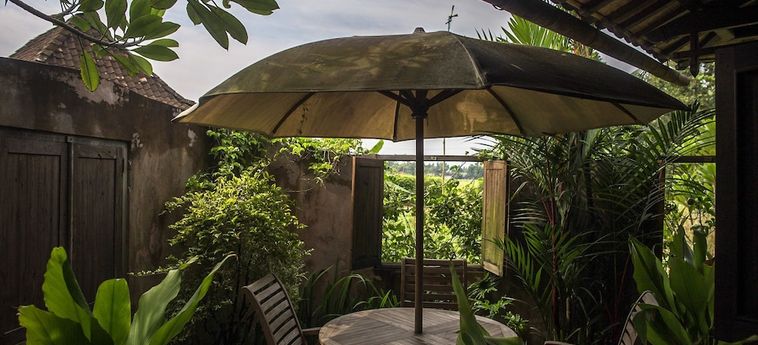 Hotel Yabbiekayu Eco-Bungalows Yogyakarta: Foto 