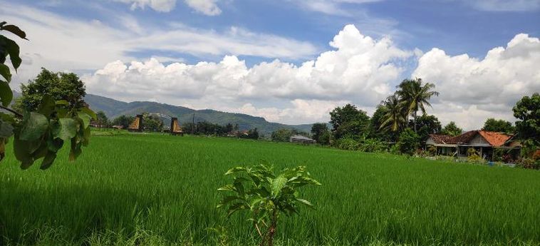 Hotel Akar Wangi 2 Homestay Yogyakarta: Photo 
