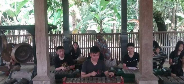 Hotel Akar Wangi 2 Homestay Yogyakarta: Photo 