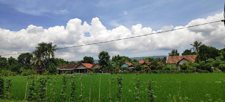 Hotel Akar Wangi 2 Homestay Yogyakarta: Photo 