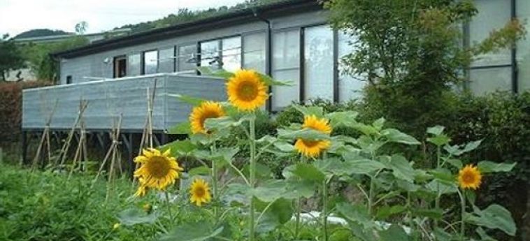 Hotel Homey Inn Enya Yufu - Oita Prefecture: Foto 