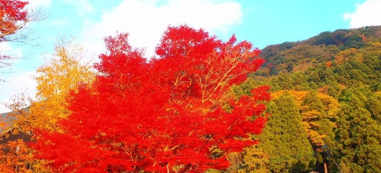 Hotel Homey Inn Enya Yufu - Oita Prefecture: Foto 