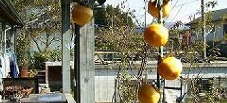 Hotel Homey Inn Enya Yufu - Oita Prefecture: Foto 