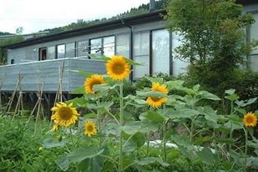 Hotel Homey Inn Enya Yufu - Oita Prefecture: Photo 