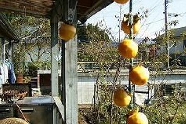 Hotel Homey Inn Enya Yufu - Oita Prefecture: Photo 