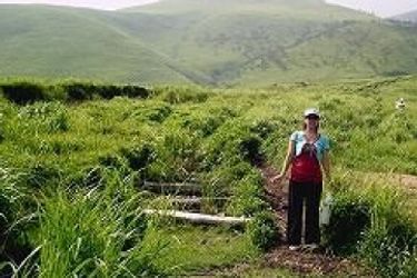 Hotel Homey Inn Enya Yufu - Oita Prefecture: Photo 