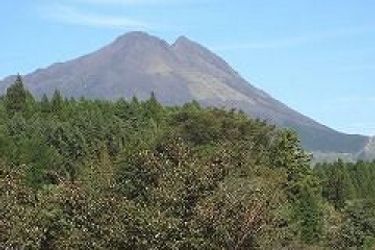 Hotel Homey Inn Enya Yufu - Oita Prefecture: Photo 