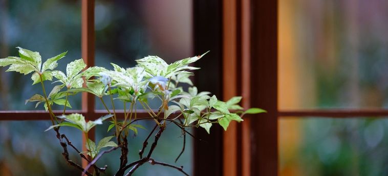 Hotel Yufuin Waraneko No Yado Yufu - Oita Prefecture : Photo 