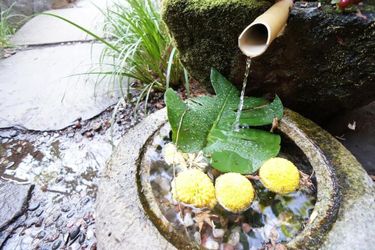 Hotel Yufu Ryochiku Yufu - Oita Prefecture: Photo 