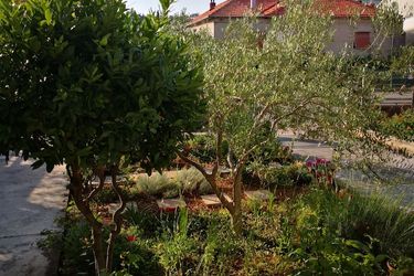 The Nice Dreams Guesthouse Zadar - Dalmatia: Photo 