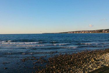 Apartment Nives Zadar - Dalmatia: Photo 