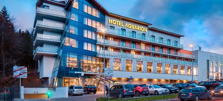 Hotel Aquarion:  ZAKOPANE