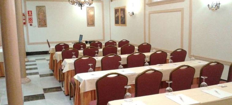Hotel Sercotel Horus Zamora:  ZAMORA