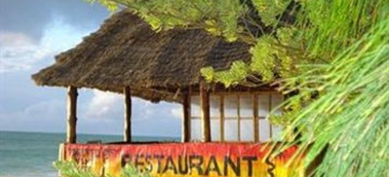 Hotel Twisted Palms Lodge & Restaurant:  ZANZIBAR