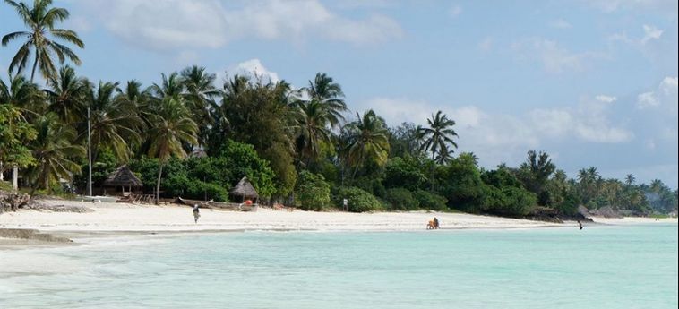 Arthotel Zanzibar Zanzibar: Foto 