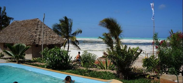 Arthotel Zanzibar Zanzibar : Photo 