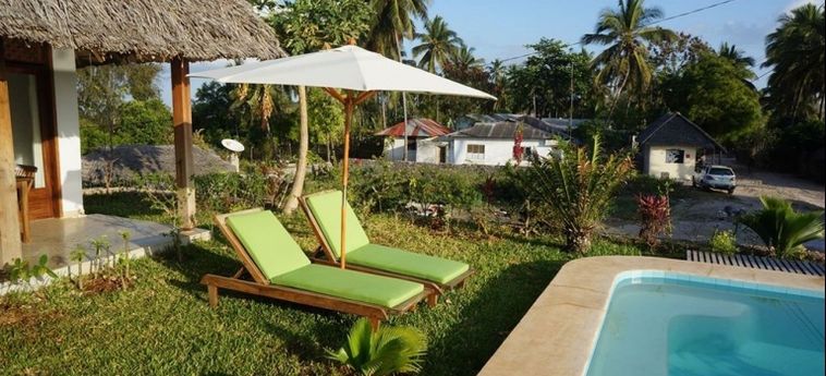 Arthotel Zanzibar Zanzibar: Foto 