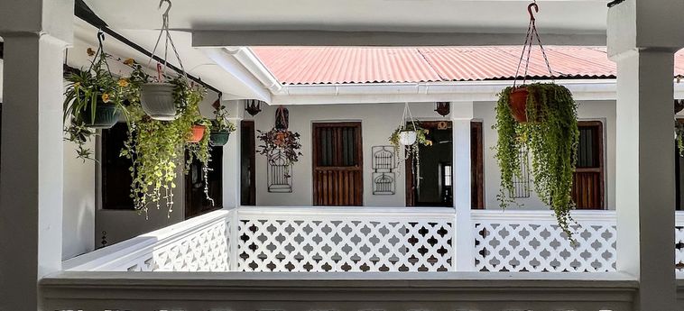 Zanzi House Zanzibar: Foto 