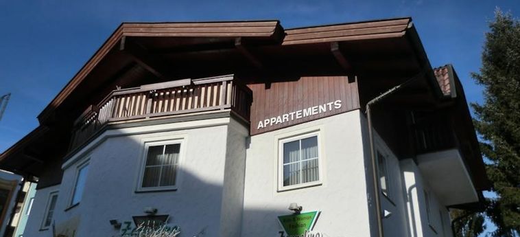 Hotel Our 4 - Junge Appartements In Zell Am See:  ZELL AM SEE