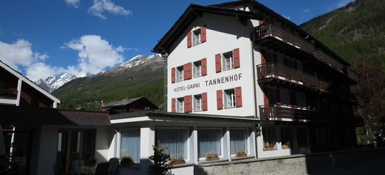 Hotel Tannenhof:  ZERMATT