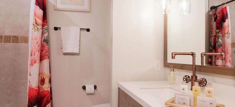 Hotel Cliffrose Springdale, Curio Collection By Hilton Zion National Park (Ut) : Photo 