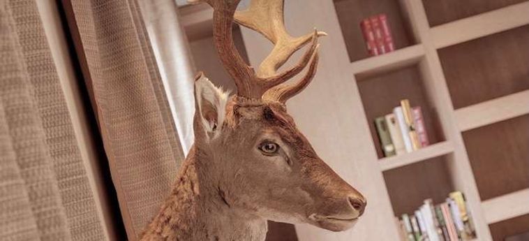 Boutique Hotel Wellenberg:  ZUERICH