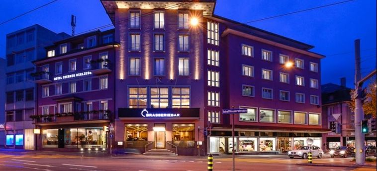 Hotel Sternen Oerlikon:  ZURICH